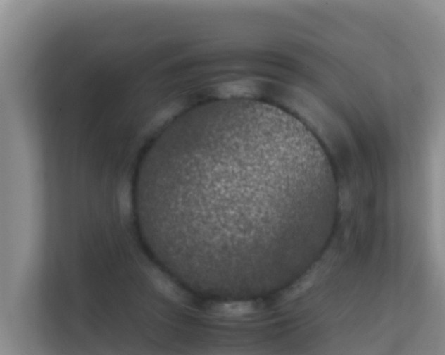 X0000111660353200907241156
