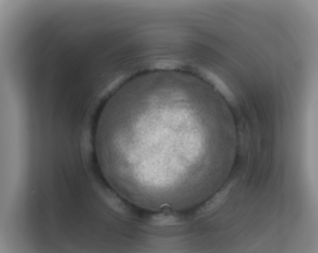 X0000111660354200907241156