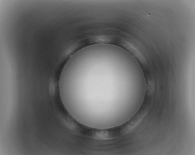 X0000111660355200907241156