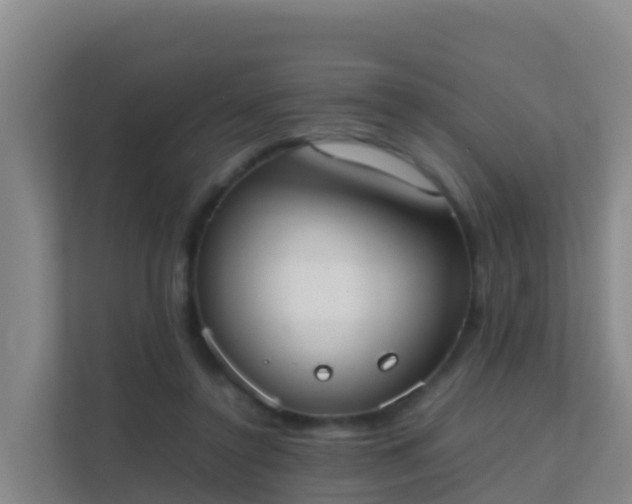 X0000111660356200907241156