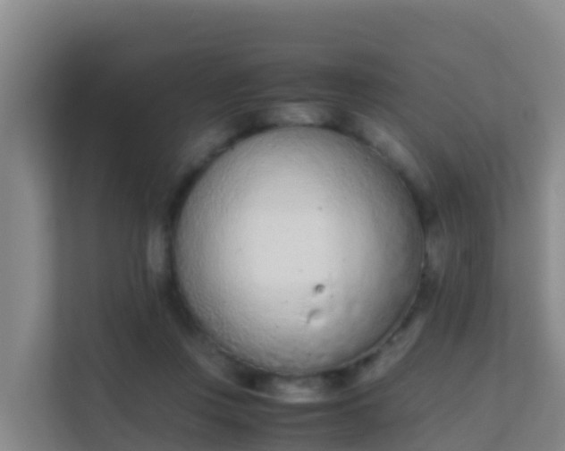 X0000111660359200907241156