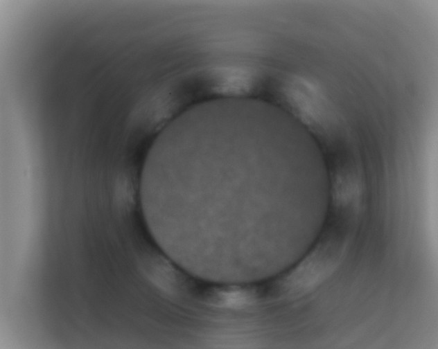 X0000111660370200907241156