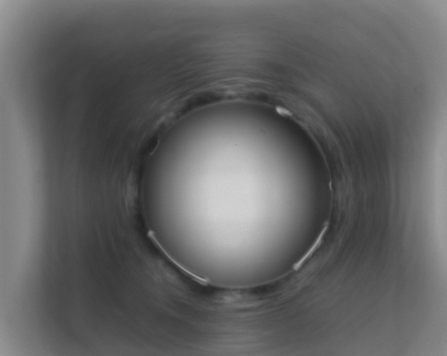 X0000111660372200907241156