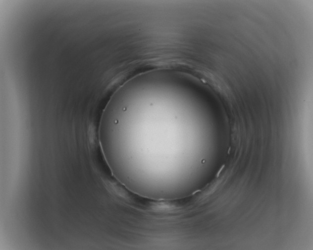 X0000111660380200907241156
