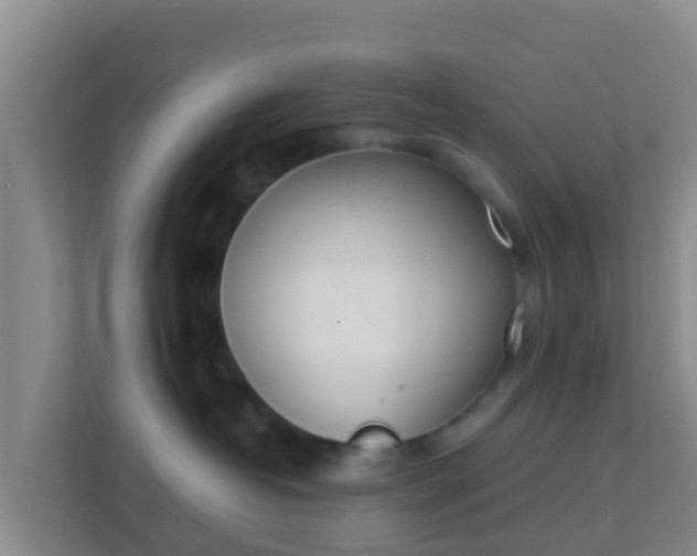X0000111660382200907241156