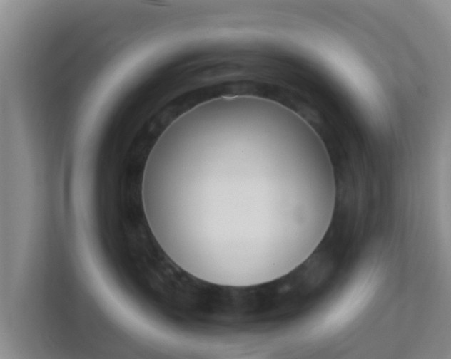 X0000111660383200907241156