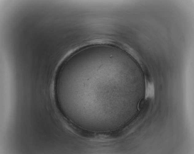 X0000111660387200907241156