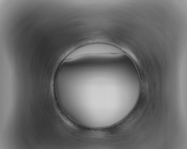 X0000111660389200907241156