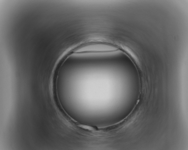 X0000111660391200907241156