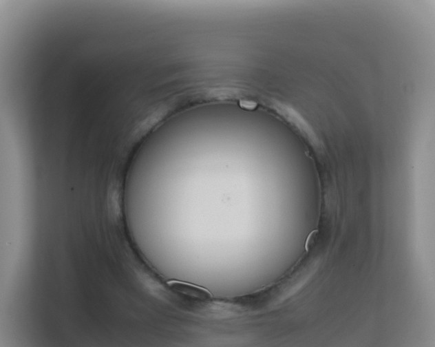 X0000111660393200907241156