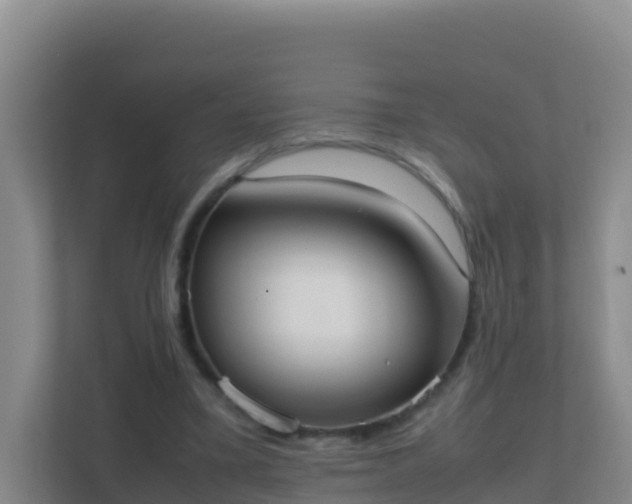 X0000111660395200907241156