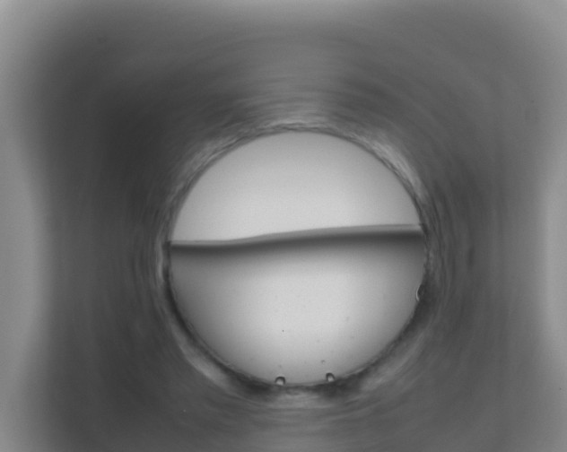 X0000111660397200907241156