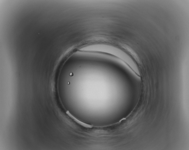 X0000111660399200907241156