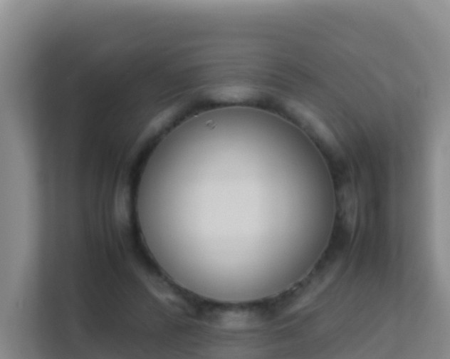 X0000111660400200907241156