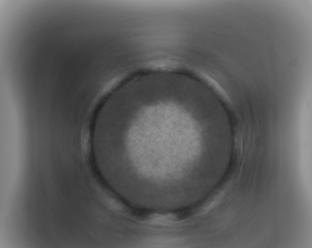 X0000111660403200907241156