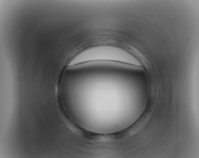 X0000111660405200907241156