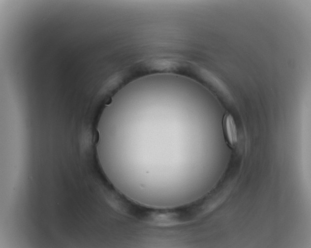 X0000111660407200907241156