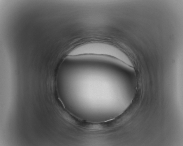 X0000111660409200907241156