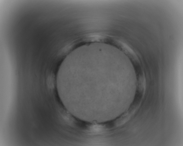 X0000111660413200907241155