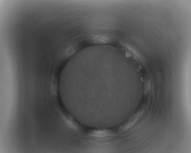 X0000111660414200907241155