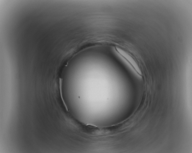 X0000111660415200907241155