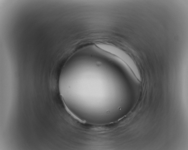 X0000111660417200907241155
