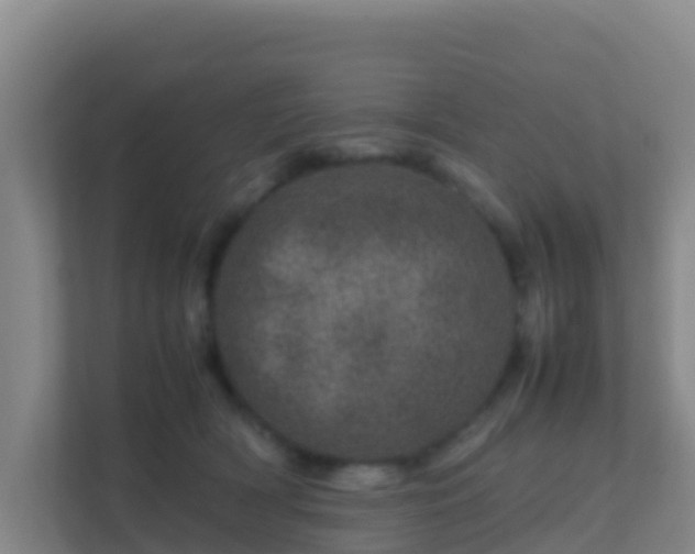 X0000111660418200907241155