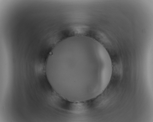 X0000111660419200907241155