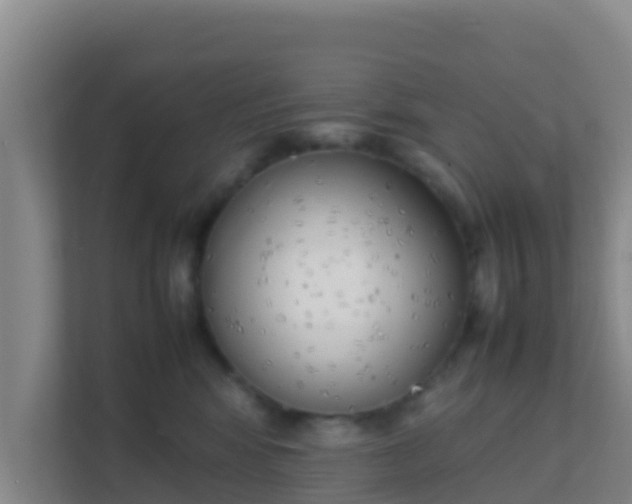 X0000111660424200907241155