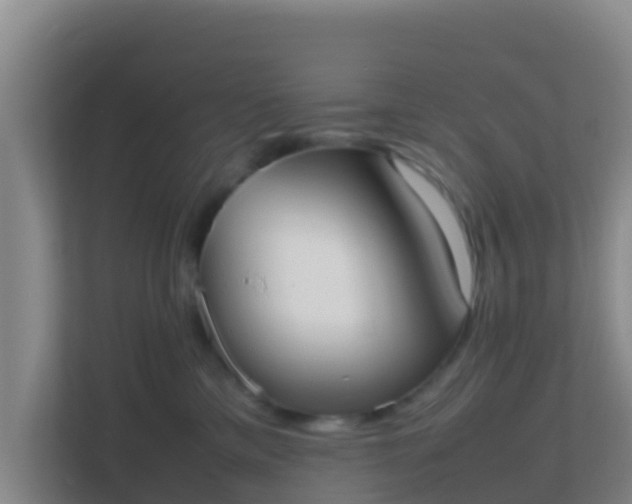 X0000111660425200907241155
