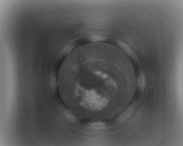 X0000111660426200907241155