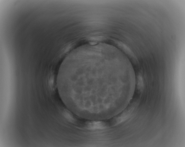 X0000111660428200907241155