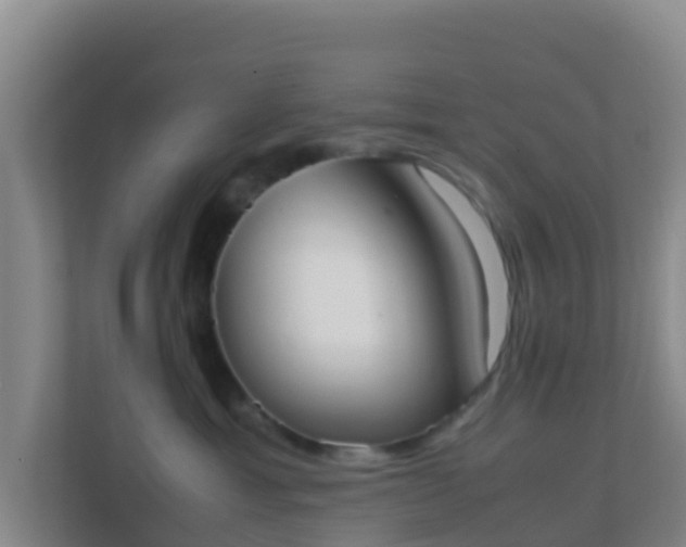 X0000111660429200907241155