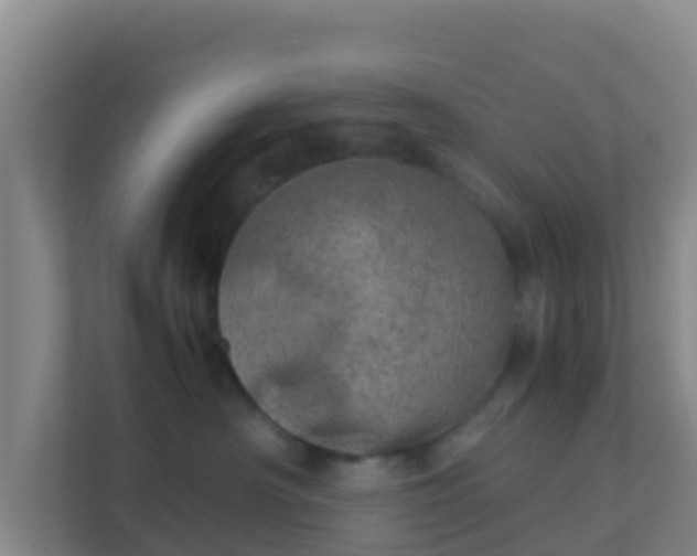 X0000111660430200907241155