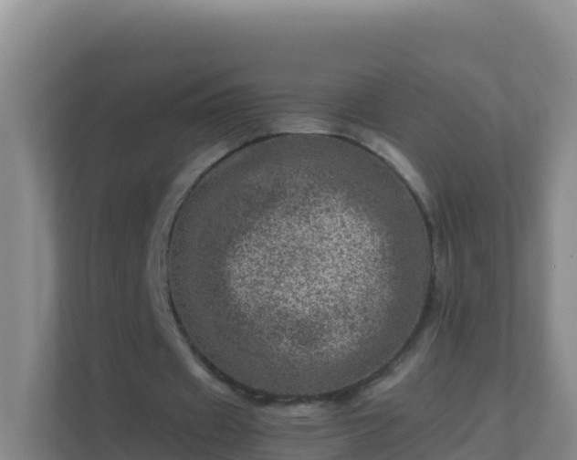 X0000111660433200907241154