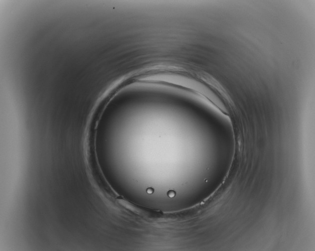 X0000111660436200907241154