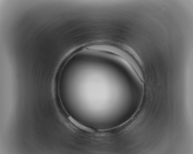 X0000111660439200907241155