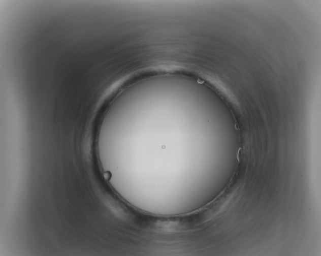 X0000111660440200907241155