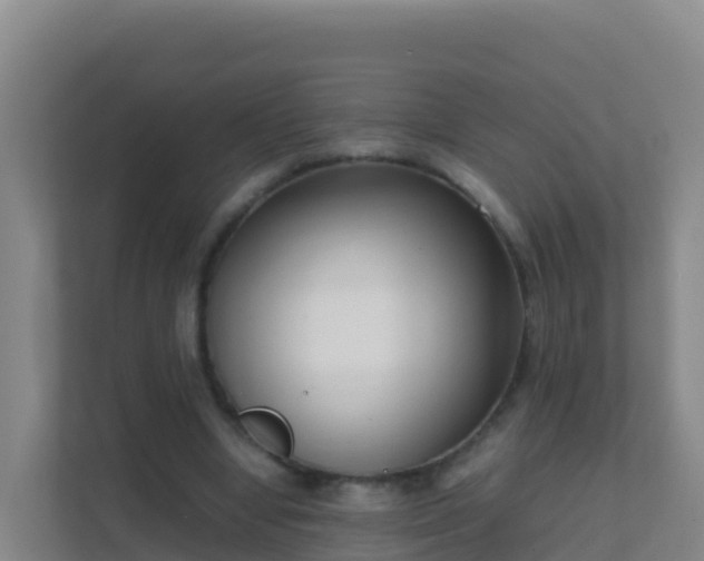 X0000111660442200907241155