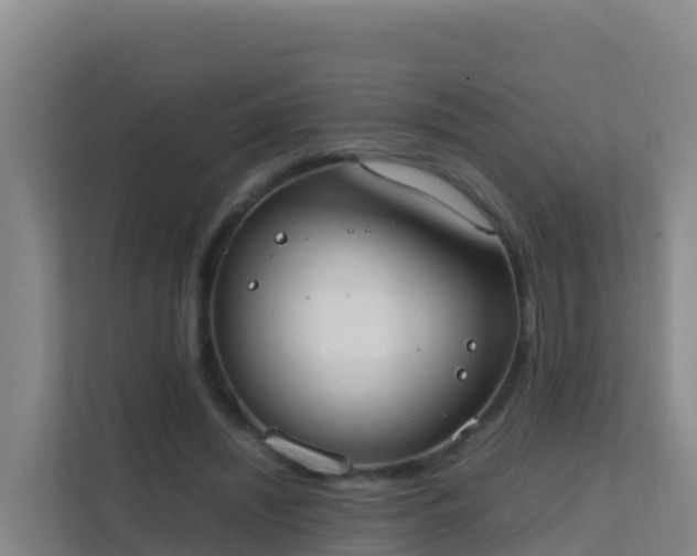 X0000111660444200907241155
