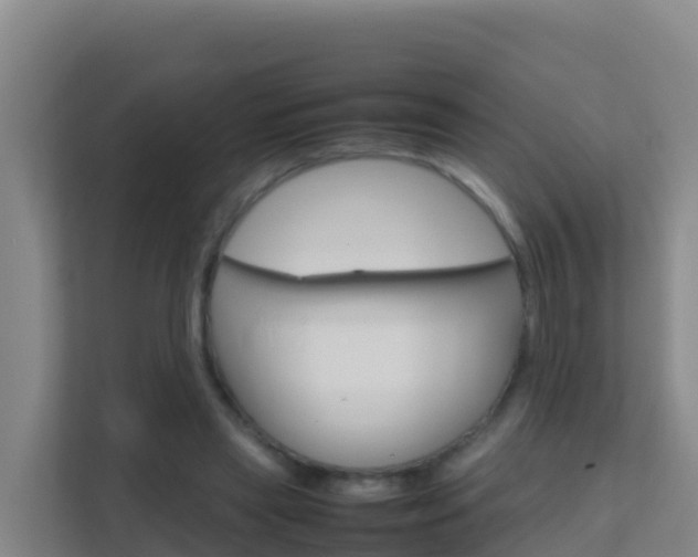 X0000111660445200907241155