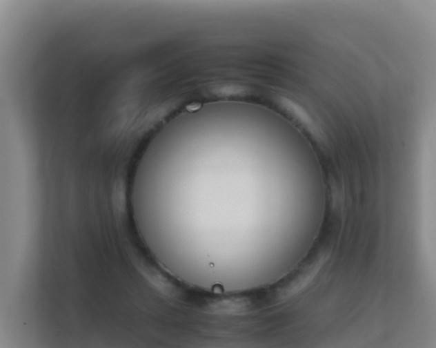 X0000111660447200907241155