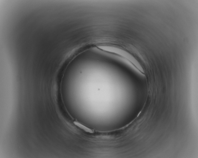 X0000111660448200907241155