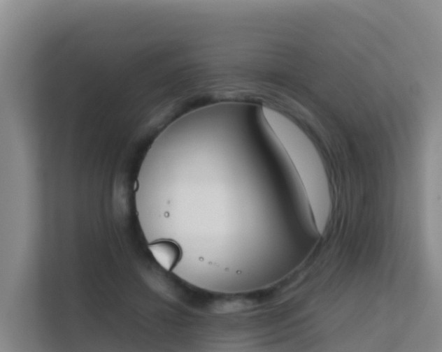X0000111660452200907241155
