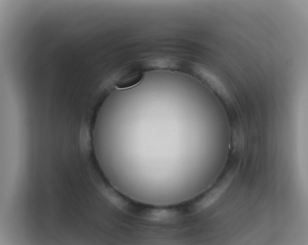 X0000111660453200907241155