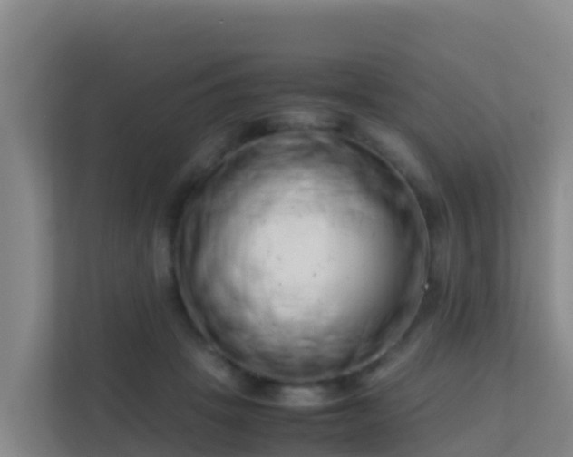 X0000111660457200907241155