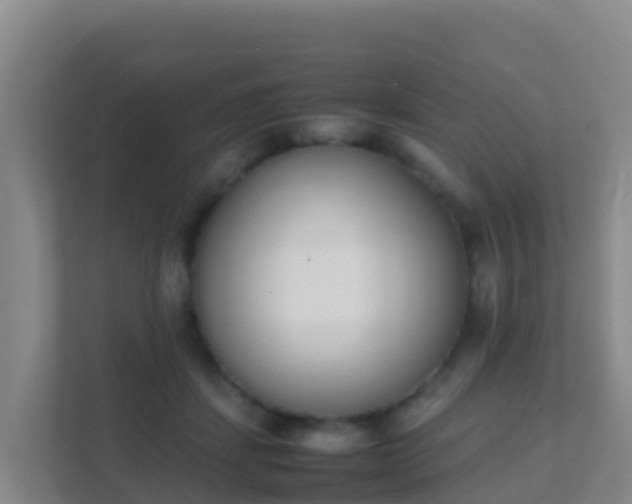 X0000111660459200907241155