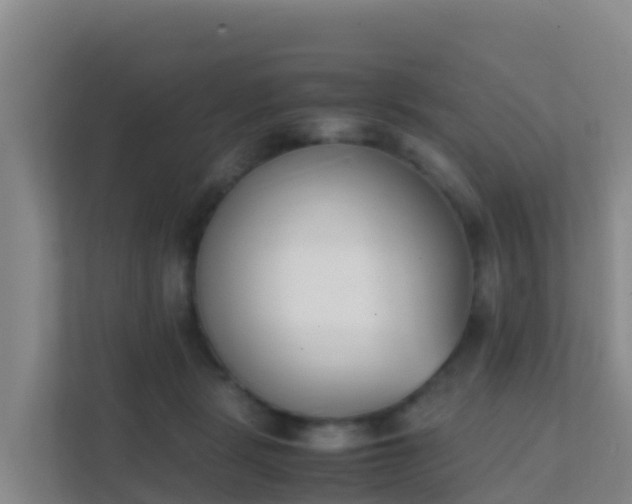 X0000111660461200907241155