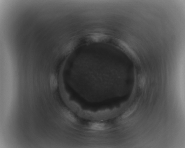 X0000111660471200907241155