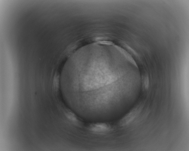 X0000111660475200907241155